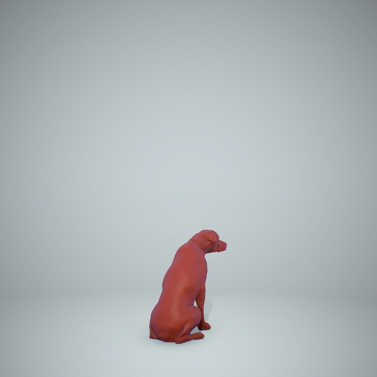 Dog Sitting Still Dog0004-HD2-P01-S 3D model_62