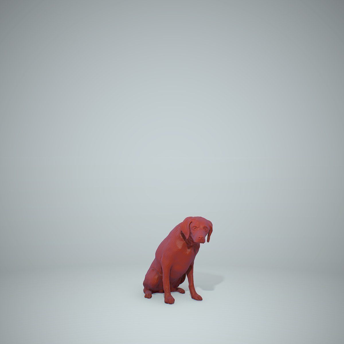 Dog Sitting Still Dog0004-HD2-P01-S 3D model_38