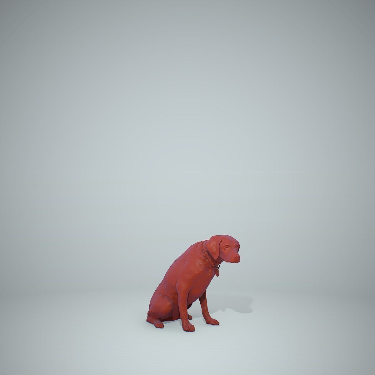 Dog Sitting Still Dog0004-HD2-P01-S 3D model_36