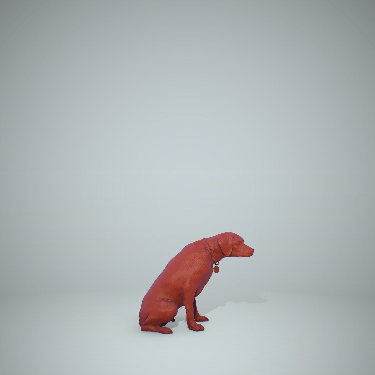 Dog Sitting Still Dog0004-HD2-P01-S 3D model_68