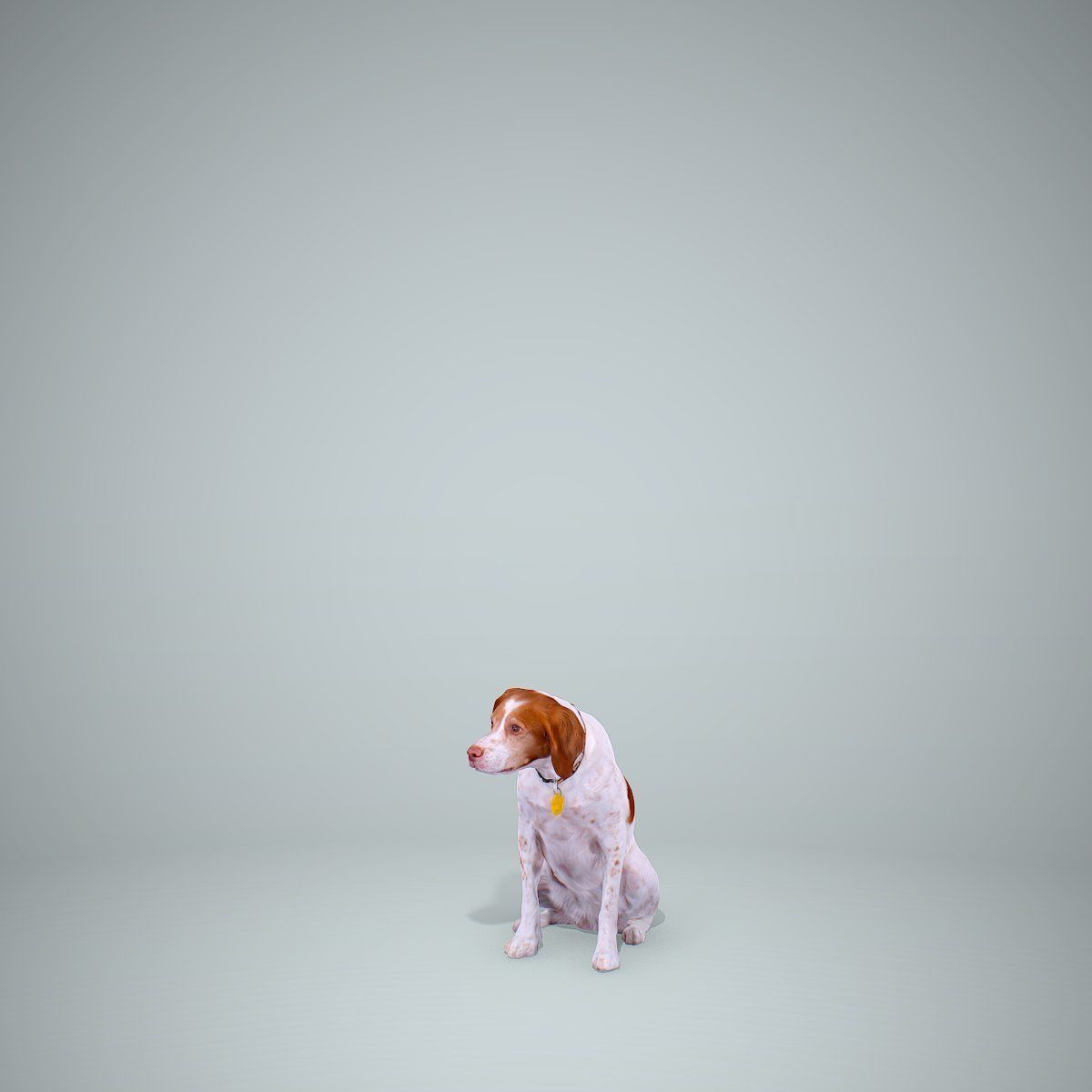 Dog Sitting Still Dog0004-HD2-P01-S 3D model_8