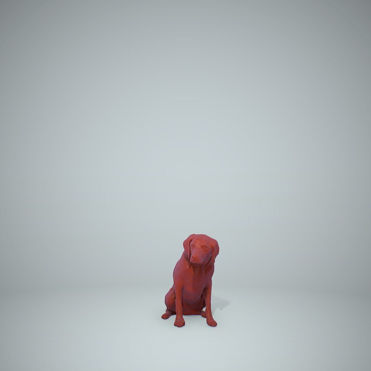 Dog Sitting Still Dog0004-HD2-P01-S 3D model_40