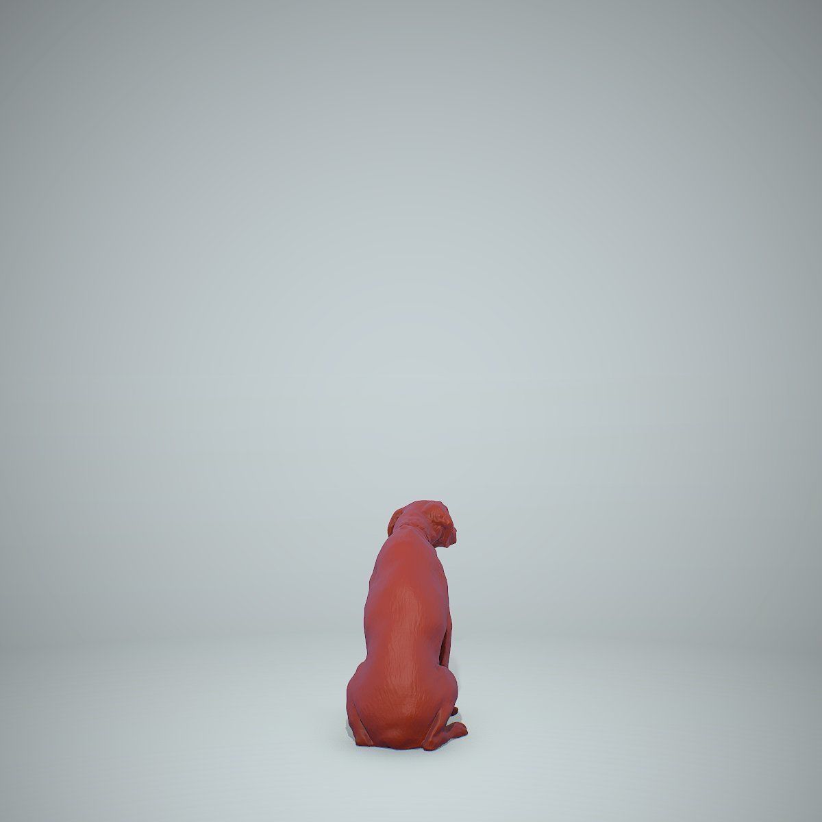 Dog Sitting Still Dog0004-HD2-P01-S 3D model_60