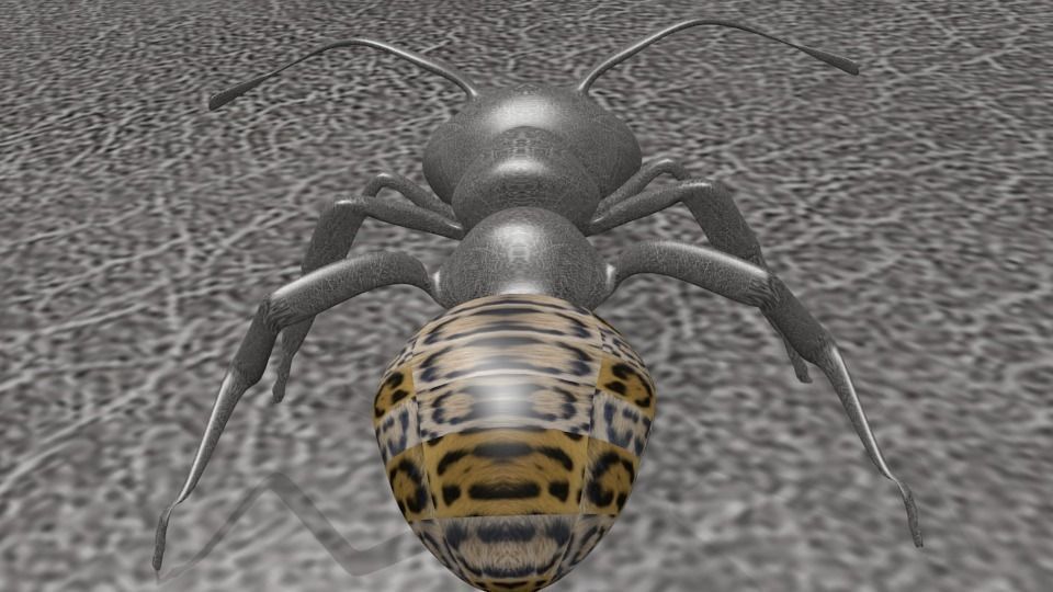 Scary Ant 3D model_3