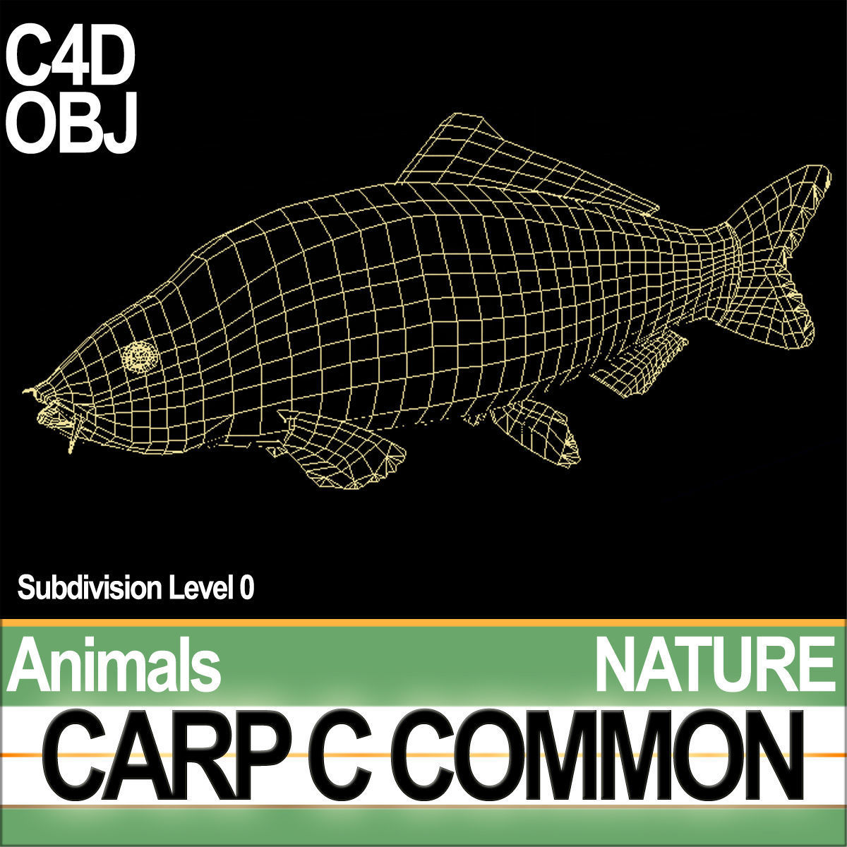 Carp C Common 3D model_4