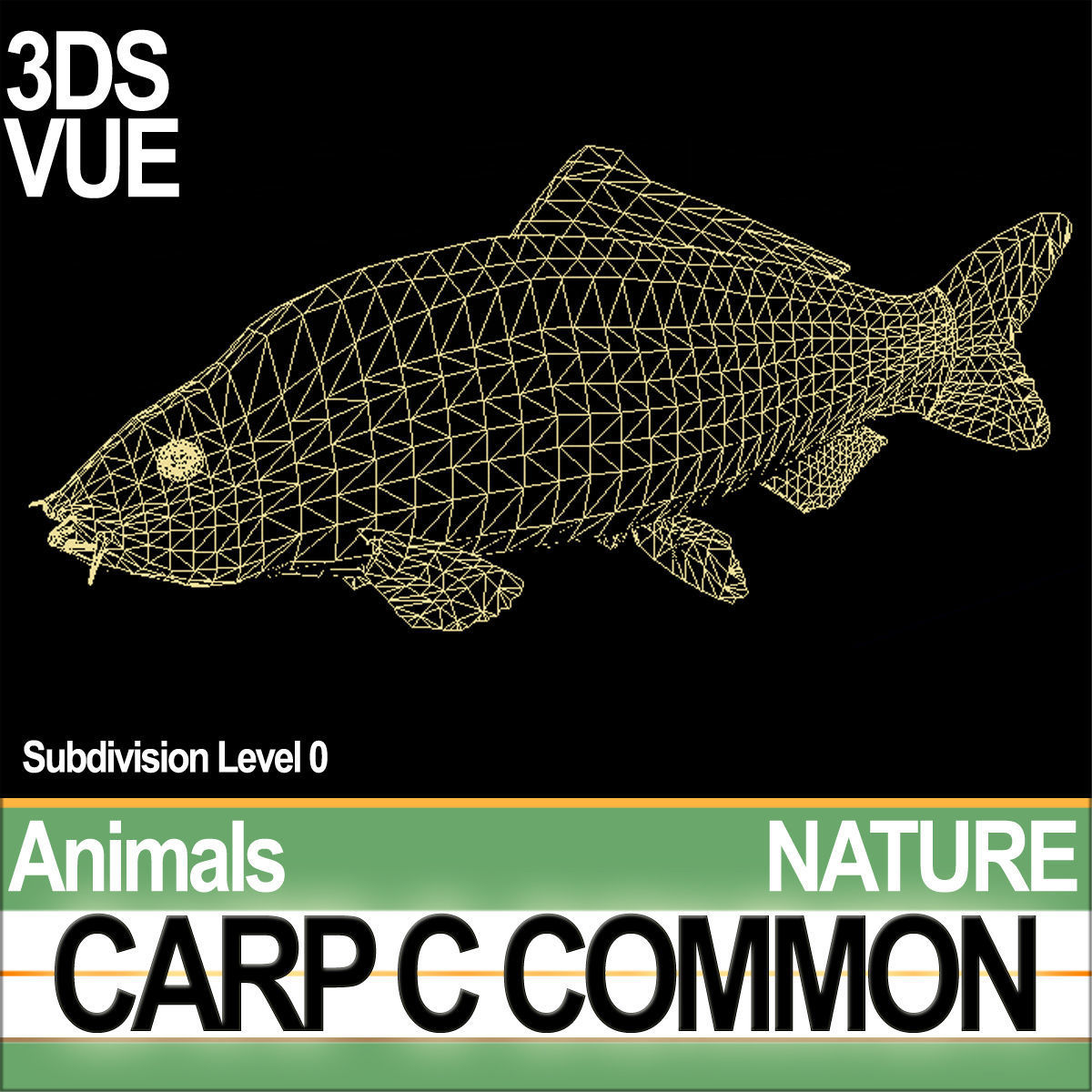 Carp C Common 3D model_5