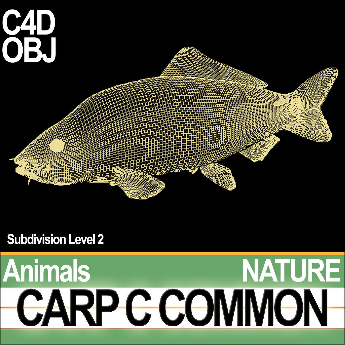Carp C Common 3D model_6