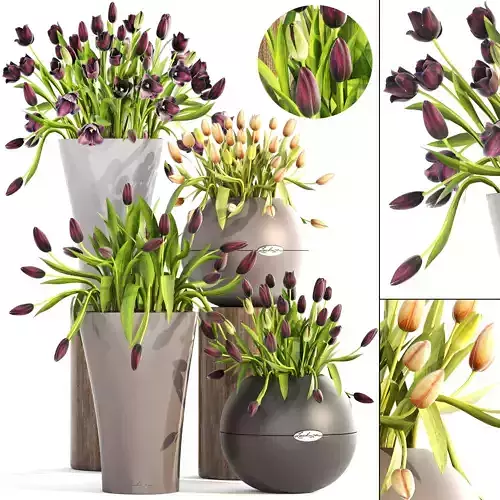 tulips flower pot with in it 3D model