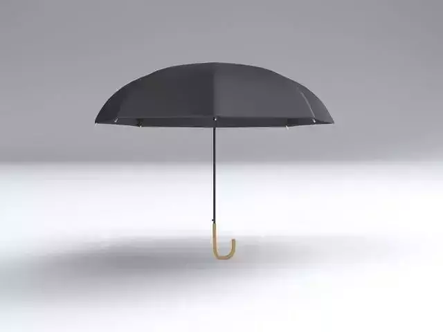 Umbrella Classic Open