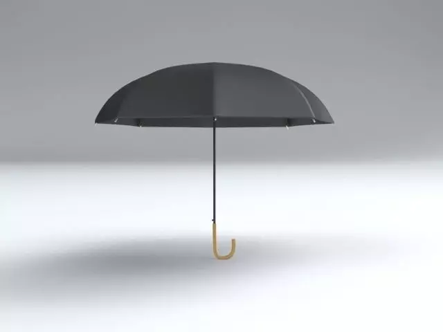 Umbrella Classic Open 3D model_0