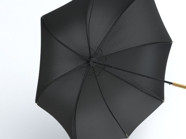Umbrella Classic Open 3D model_1