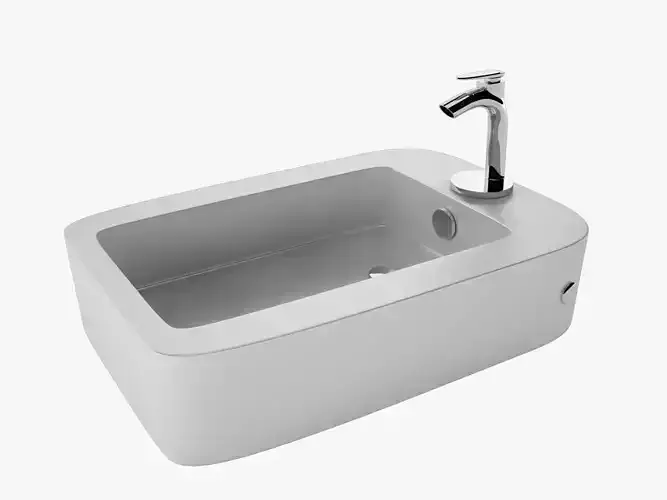 Bidet bathroom sink