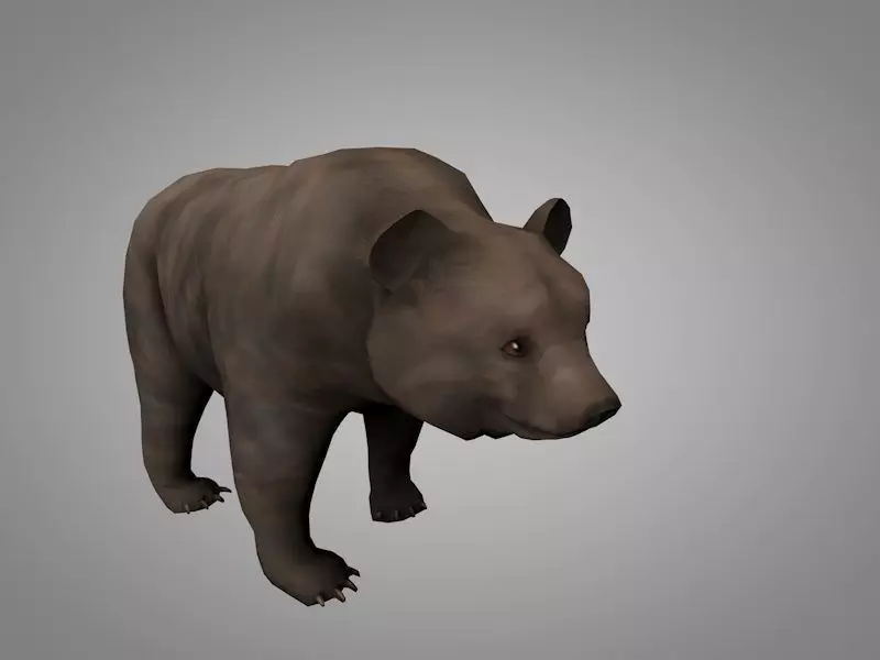 Grizzly Bear Low-poly 3D model_0