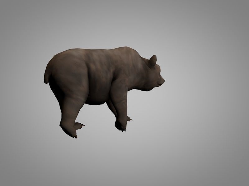 Grizzly Bear Low-poly 3D model_1