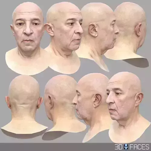 AAA Quality Low Polygon Male Head Scan