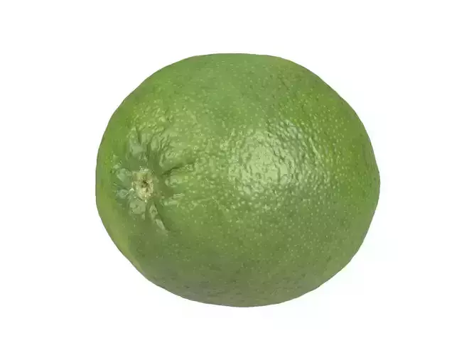 Photorealistic Lime 3D Scan 3D model