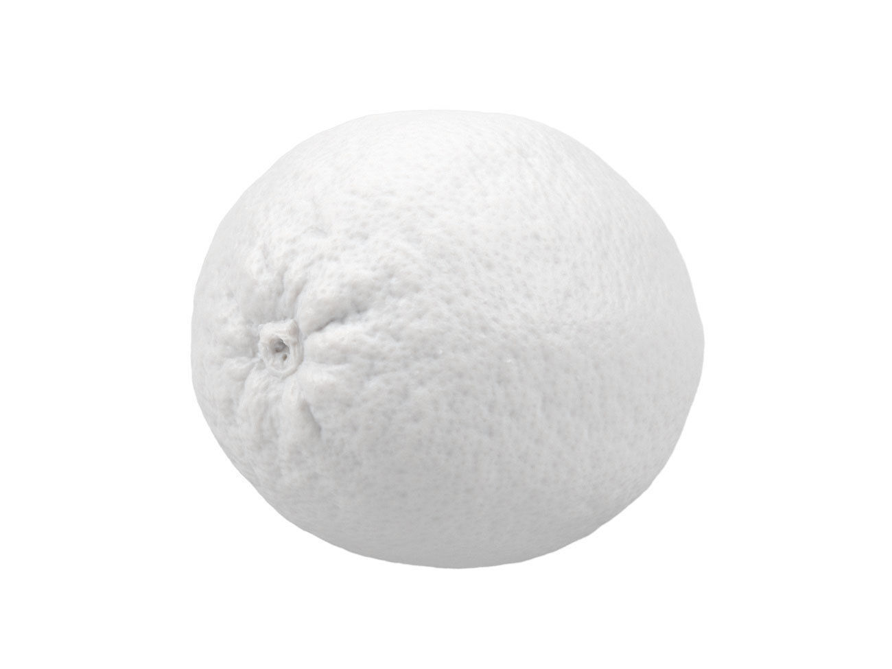 Photorealistic Lime 3D Scan 3D model_6