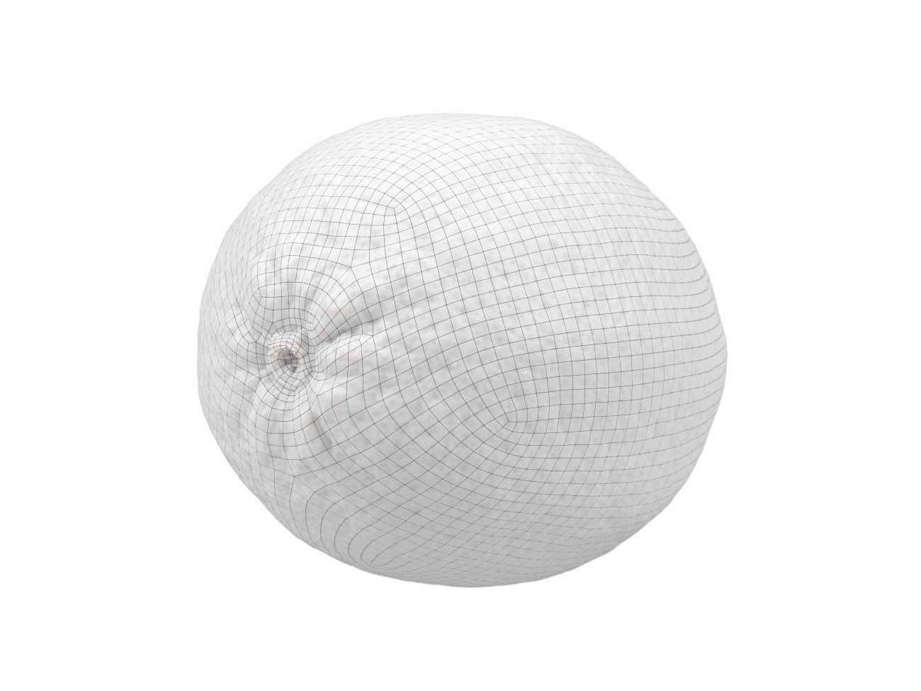 Photorealistic Lime 3D Scan 3D model_7