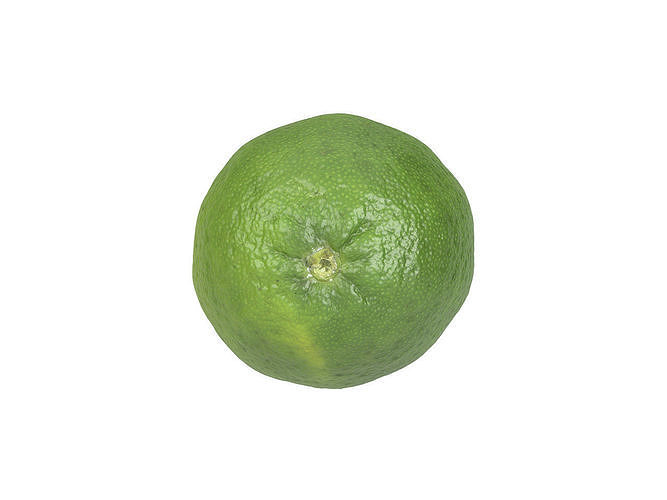 Photorealistic Lime 3D Scan 3D model 6