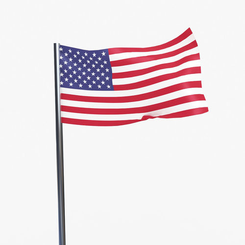 USA FLAG 3D model