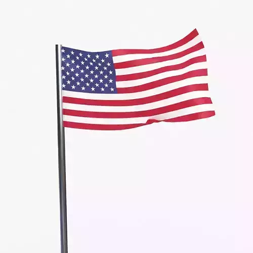USA FLAG