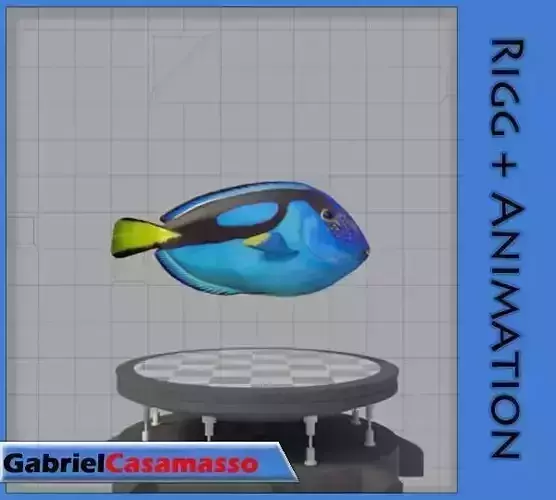 Blue Tang Low-poly 3D model