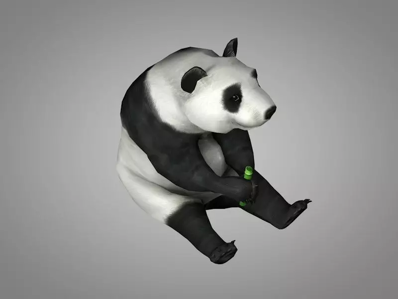 Panda or China bear Low-poly 3D model_0