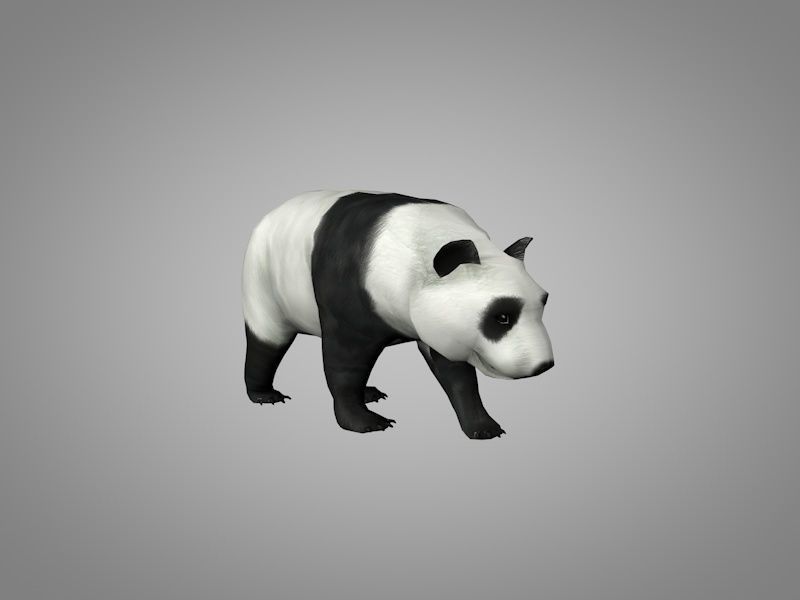 Panda or China bear Low-poly 3D model_1