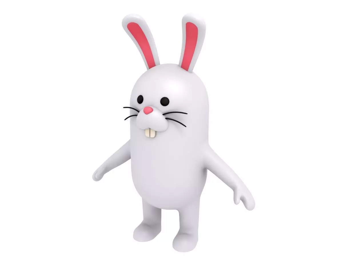Rabbit Character  3D model_0