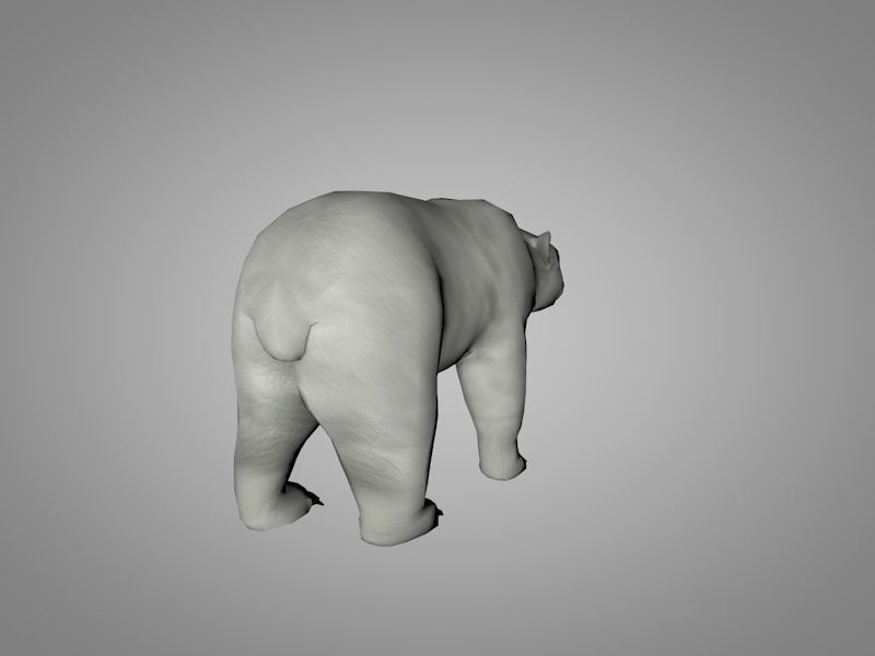 Polar White Bear Low-poly 3D model_3