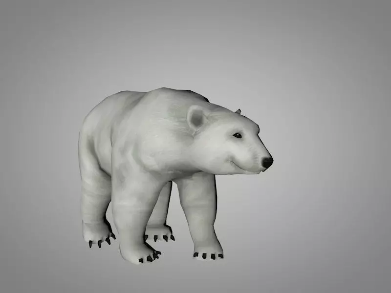 Polar White Bear Low-poly 3D model_0