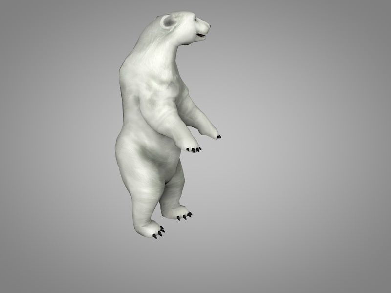 Polar White Bear Low-poly 3D model_1