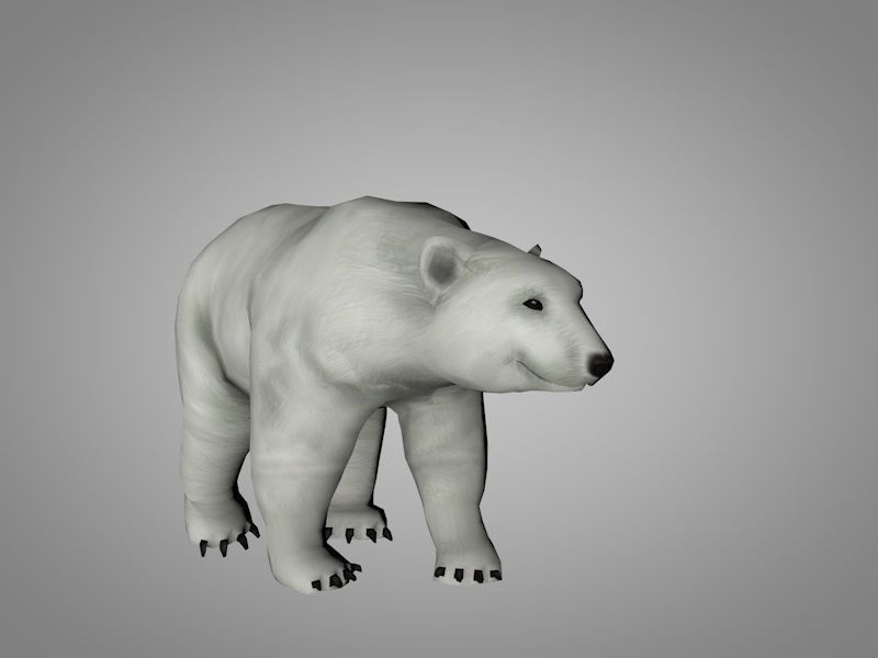 Bears pack Low-poly 3D model_13