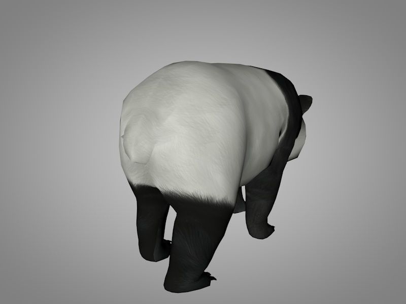 Bears pack Low-poly 3D model_10