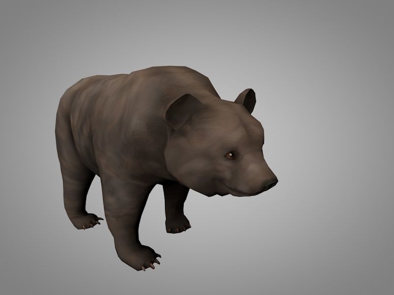 Bears pack Low-poly 3D model_2