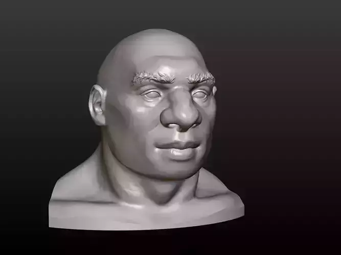 Man Head 3D print model