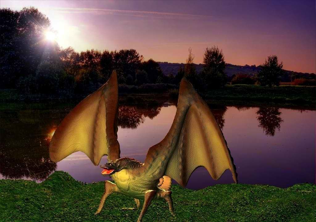 New Dino Low-poly 3D model_15