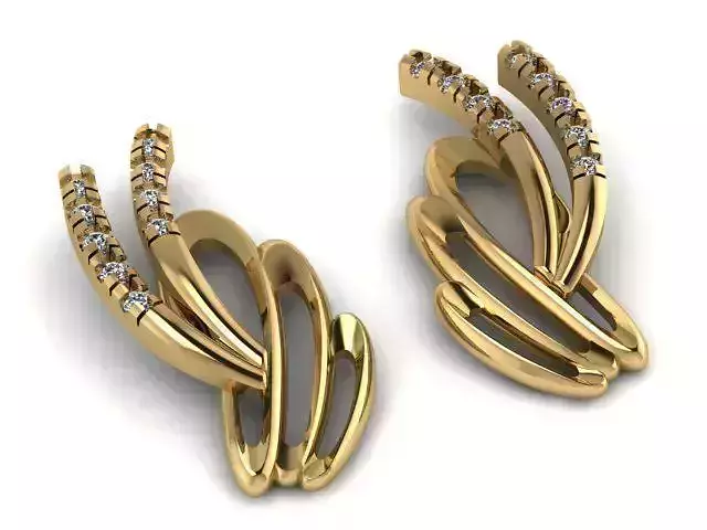 Earrings T01151