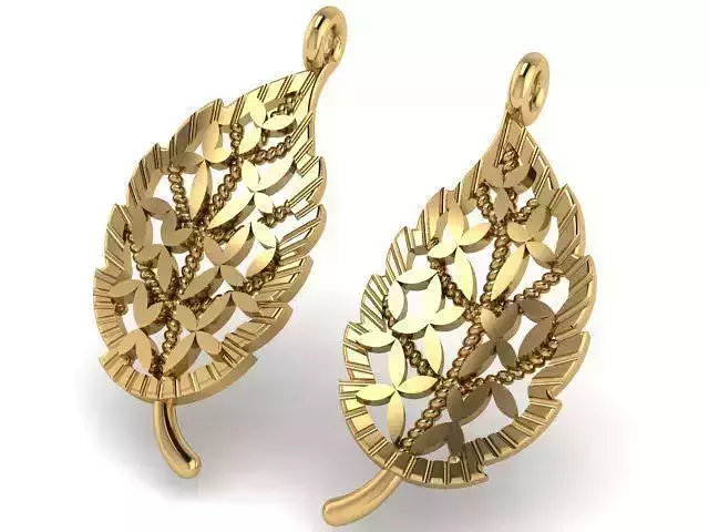 Earrings T01155