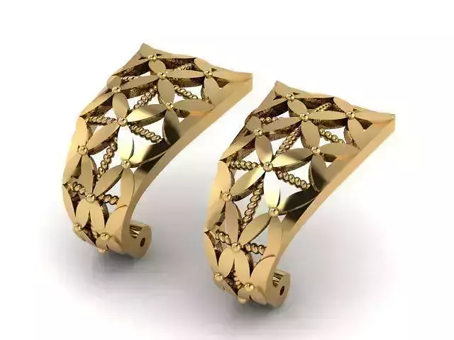 Earrings T01157