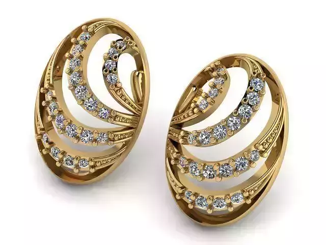 Earrings T01159