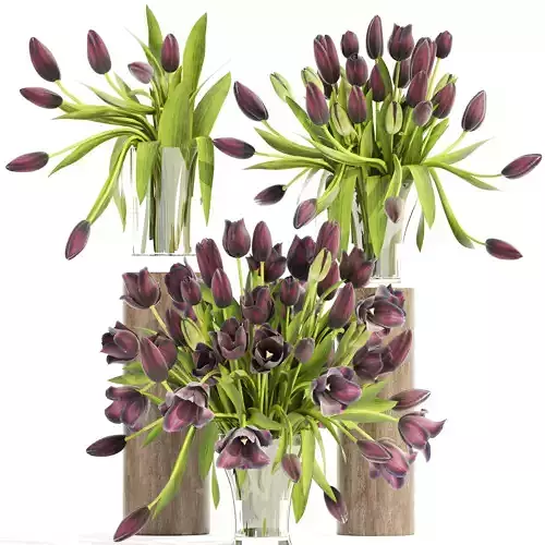 Bouquet of tulips 3D model