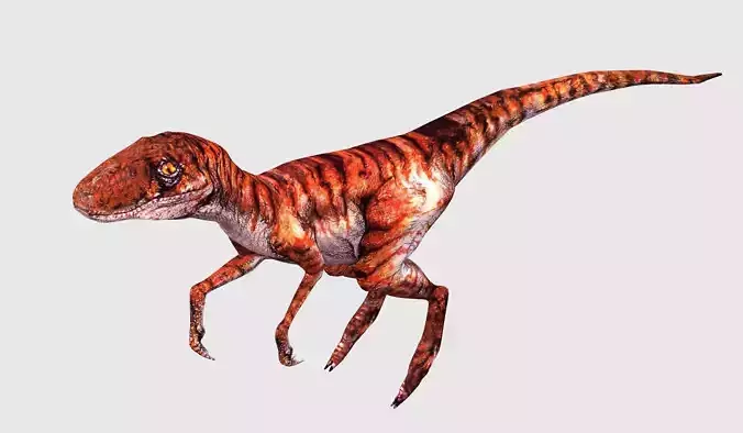 3D Animated and Rigged Raptor Dinosaur Velociraptor