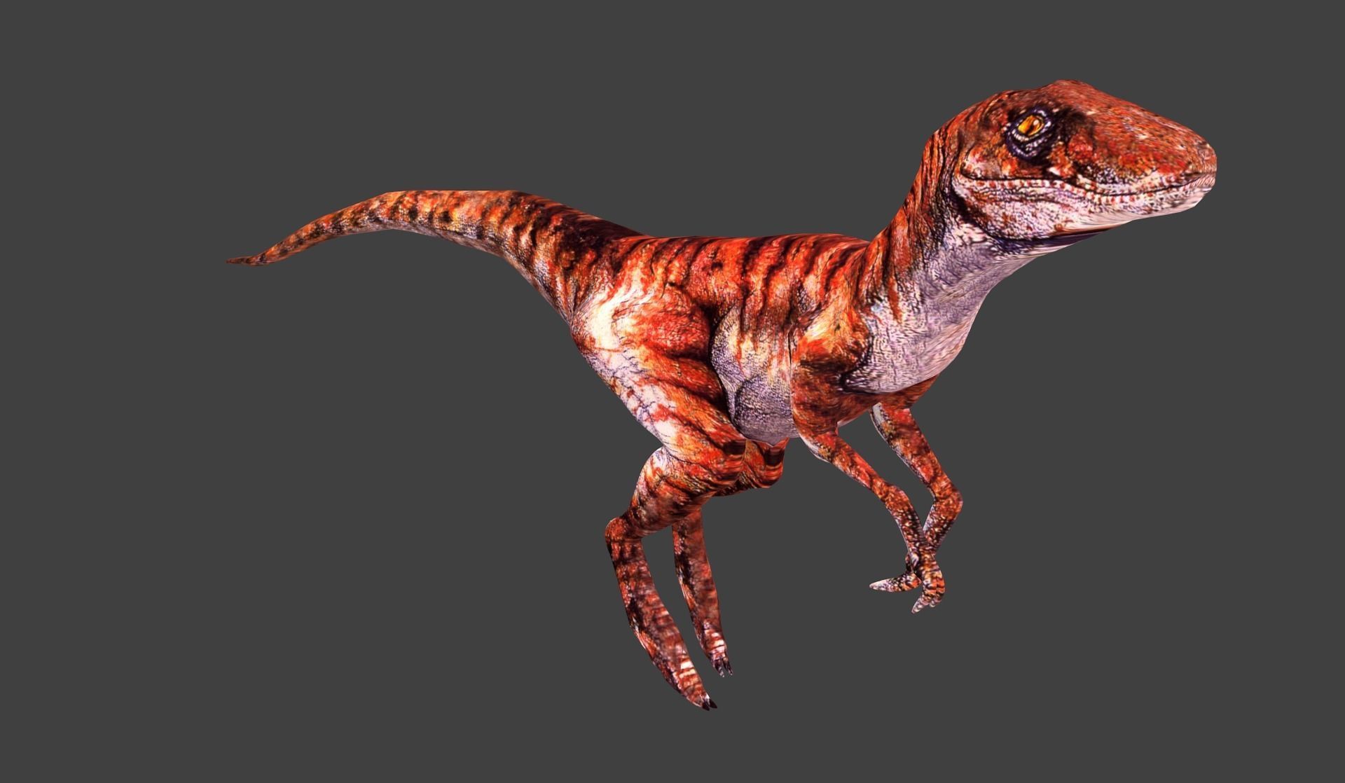3D Animated and Rigged Raptor Dinosaur Velociraptor Low-poly 3D model_1