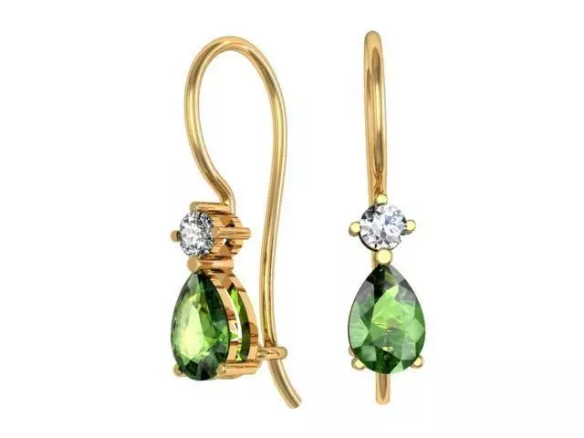 Earrings drops  3D print model_0