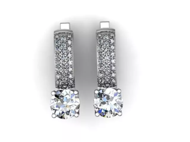 Earrings Shine 3D print model