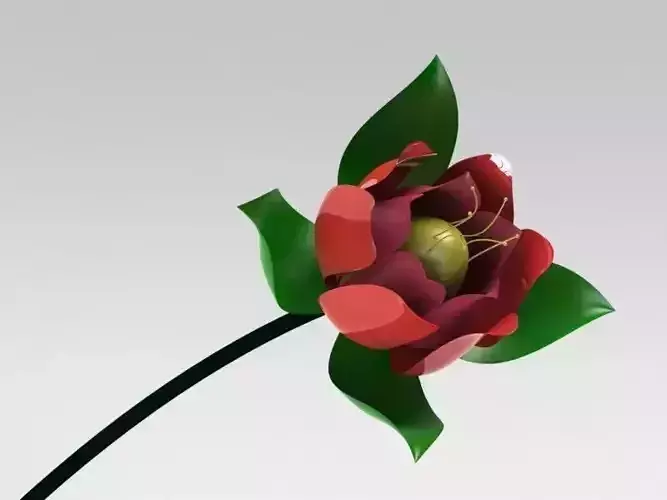 Rose flower with leaves