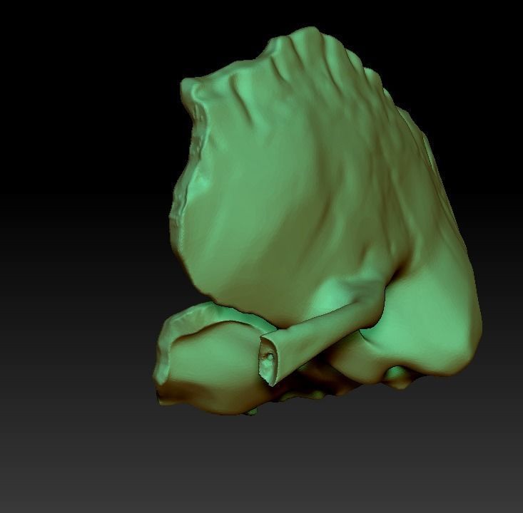 Human skull 3DP model cut in major bones 3D print model_10
