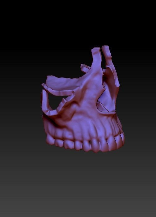 Human skull 3DP model cut in major bones 3D print model_6