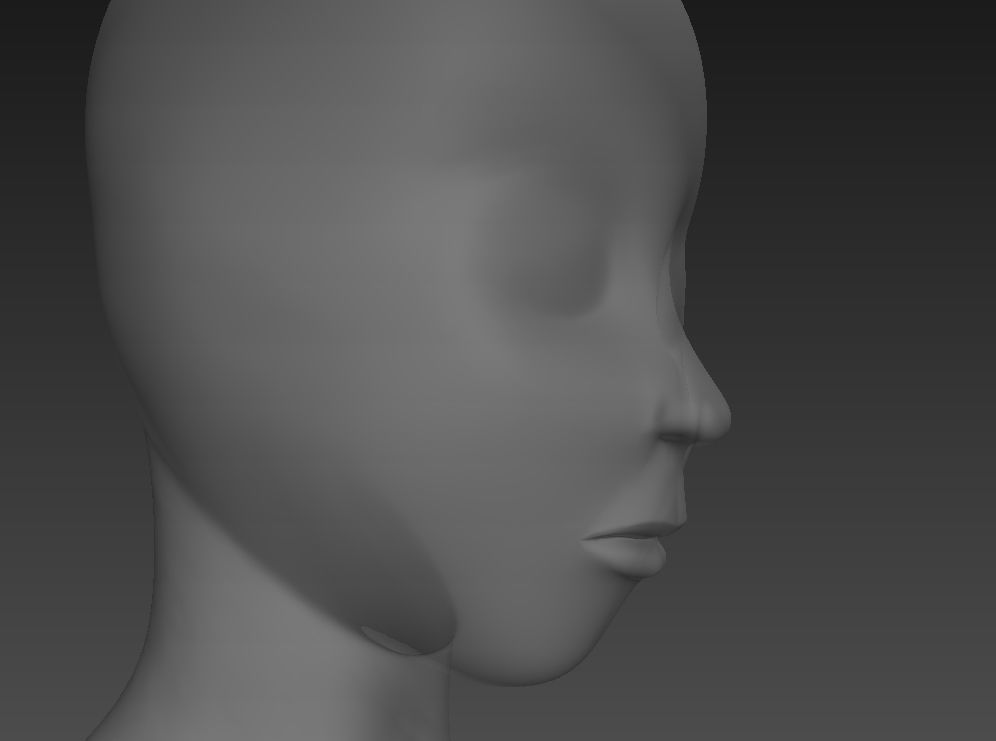 Head model mannequin 3D model_8